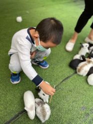 -萌宠亲子动物乐园(槐房万达店)