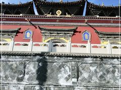 -塔尔寺-菩提树