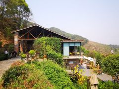 -远山有窑