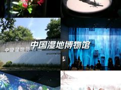 -中国湿地博物馆