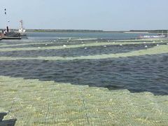 -贝林大翅鲸简餐厅(国家海洋博物馆店)