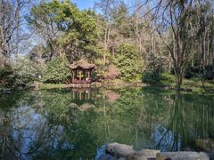 -杭州植物园
