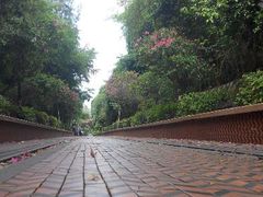 android_upload_pic-铁路文化公园