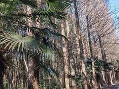 -同里国家湿地公园