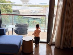 -上海佘山世茂艾美酒店