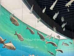 -重庆自然博物馆(新馆)