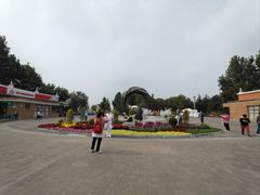 -大兴滨河森林公园