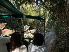 -热带雨林自然公园