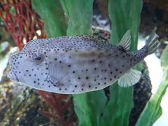 -沈阳海洋探索中心