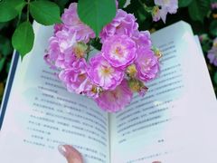 -朝庭公寓