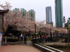 -西北湖绿化广场
