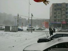 -桃源新村双台子店