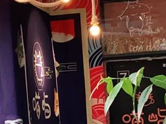 -喵屿·大理花园猫咖