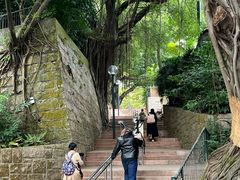 -九龙公园