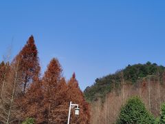 -贵阳市花溪国家城市湿地公园