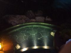 -七彩云南古滇温泉山庄