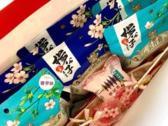 -江城杨公子·湖北武汉手信特产(户部巷店)