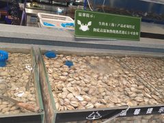 -圣罗巴海鲜自助(黑金店)