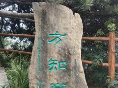 -王莽岭风景区