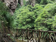-永泰中国云顶