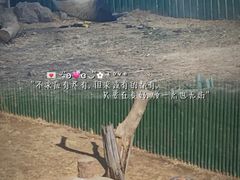 -沈阳森林动物园