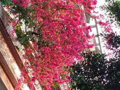 -李大爷的泡椒馆(冉家坝店)