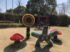 -金山农民画村-枫泾波兰倒置屋