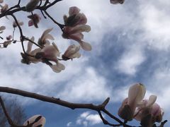 -大益膳房(华腾科技大厦店)