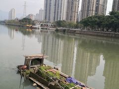 -光明港公园
