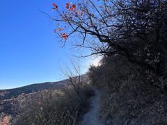 -北京西山国家森林公园