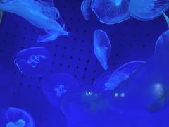 -厦门海底世界