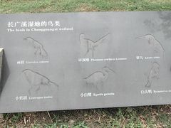-长广溪湿地公园