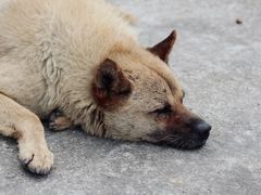 -楠溪江风景名胜区