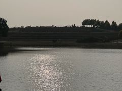 -空港花田景区
