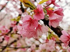 -白塘生态植物园