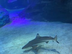 -沈阳海洋探索中心