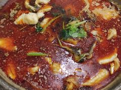 -重庆特色冷锅鱼(武大店)