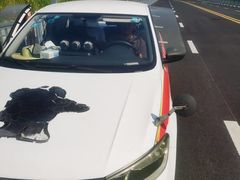 -大胖虎驾考驾校(郭巷训练场)