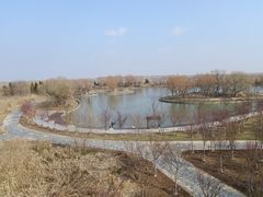 -盐城丹顶鹤湿地生态旅游区