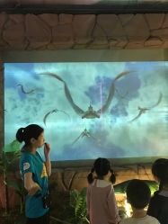 -恐龙探索乐园(磁器口店)