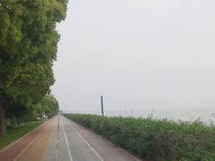 -贡湖湾湿地公园