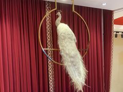 -红顶食府(滨湖九号店)