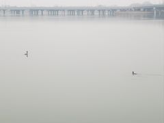 -丁香湖公园