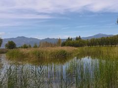 -野鸭湖国家湿地公园