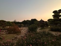 -南宁南湖公园