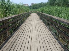 -马家湾湿地公园