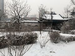 -迎泽公园