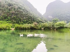 -靖西鹅泉风景区