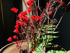 -觀芷隐轩