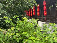 -阮氏酒家(柯桥店)